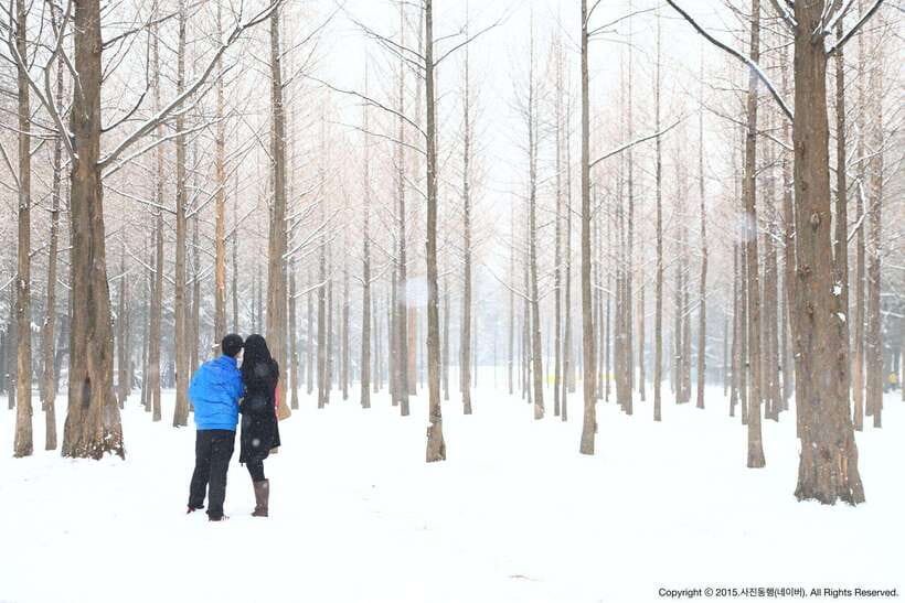 Seoul: Full-Day Winter Trip Ski Resort, Ice Valley, Namiseom - The guide can shape the whole day