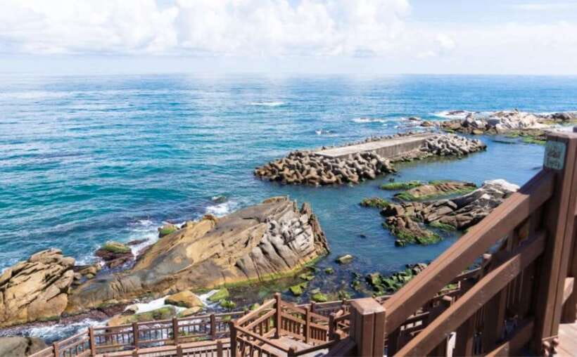 Seoul: Gangneung BTS K-Pop & K-Drama Filming Locations Tour - Option 2: Haslla Art World and Gangneung Coffee Street