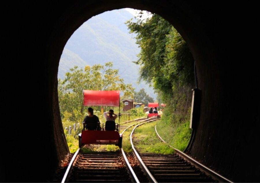 Seoul: Gangwon-do Day Trip with Alpaca World & Nami Island - Choosing Gangchon Rail Park or the Garden of Morning Calm