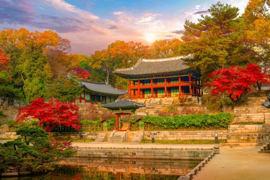 Seoul: Gyeongbok Palace and Bukchon Hanok Walking Tour - Who should book this experience?