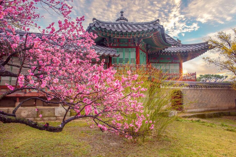 Seoul: Gyeongbok Palace and Bukchon Hanok Walking Tour - The National Folk Museum inside the palace grounds