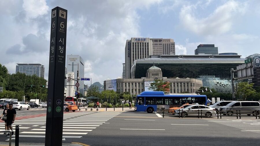 Seoul: Gyeongbok Palace and Bukchon Hanok Walking Tour - Is the $88 price fair?