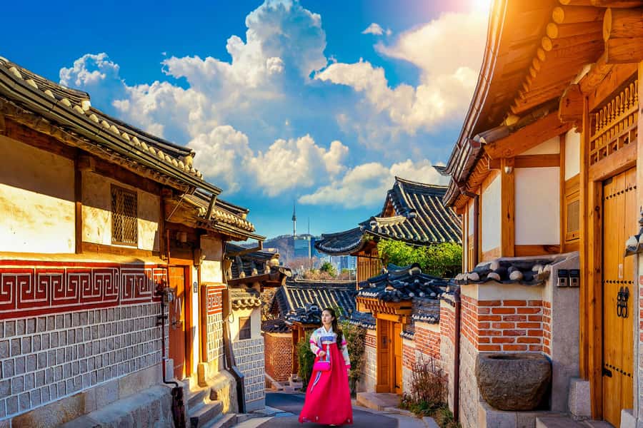 Seoul: Gyeongbokgung / Hanok Village / N Seoul Tower - Accessibility and family considerations