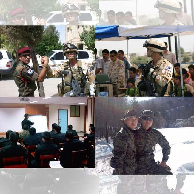 Seoul: Half-Day DMZ Tour Led by a Retired Military Officer - What makes this DMZ tour different