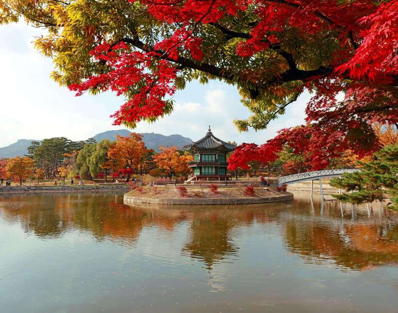 Seoul Highlights: Gyeongbok Palace, Insadong & N Seoul Tower - The palace hour: Gwanghwamun and Gyeongbokgung