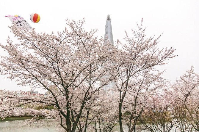 Seoul Highlights & Hidden Gems – Private Tour with Photo Service - Why This Private Seoul Tour Works