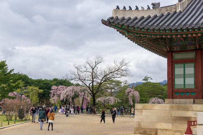 Seoul Highlights & Hidden Gems – Private Tour with Photo Service - Insadong: Shops, Alleys, and Traditional Goods