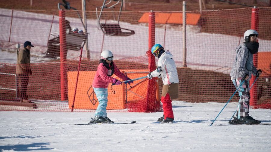 Seoul: Jisan Forest Winter Ski Day Tour with Basic Lesson - Key points to know before booking