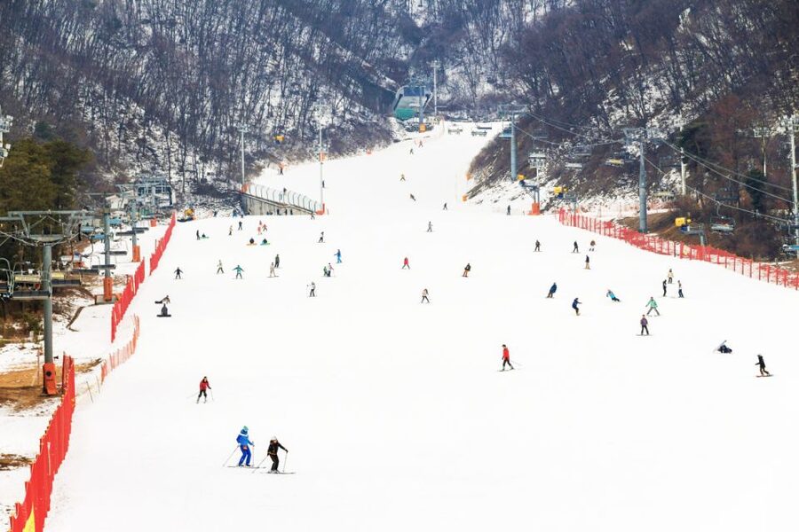 Seoul: Jisan Forest Winter Ski Day Tour with Basic Lesson - Leaving Seoul for Jisan Forest