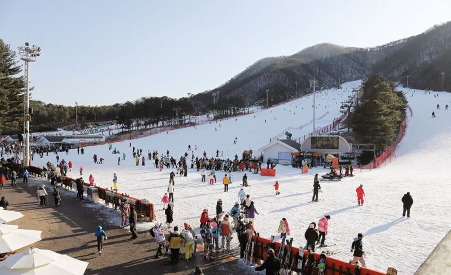 Seoul: Jisan Forest Winter Ski Day Tour with Basic Lesson - Seven slopes among the pine trees