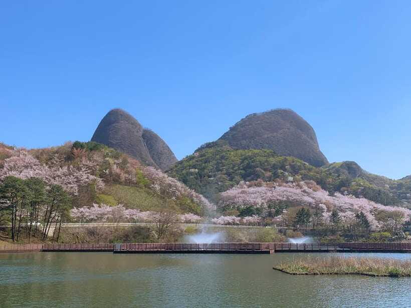 Seoul: Maisan Cherry Blossom and Jeonju Hanok Day Tour - Street food is part of the Jeonju experience