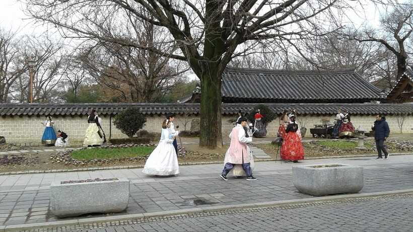 Seoul: Maisan Cherry Blossom and Jeonju Hanok Day Tour - Who should book this day trip?