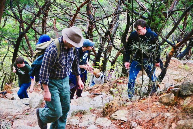 Seoul Mountain Hike: Temples, Folklore & Traditional Meal - Forested valleys and open mountain views