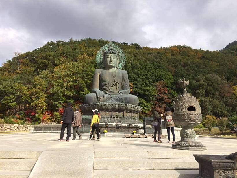 Seoul: Mt.Seorak(+CableCar Option)+Sokcho Fish Market&Beach - Key Points Before You Book
