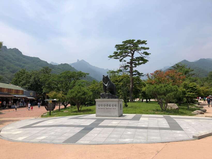Seoul: Mt.Seorak(+CableCar Option)+Sokcho Fish Market&Beach - Choosing the Optional Seoraksan Cable Car