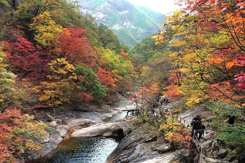 Seoul: Mt.Seorak(+CableCar Option)+Sokcho Fish Market&Beach - Sinheungsa and the Buddha Statue Add Cultural Context