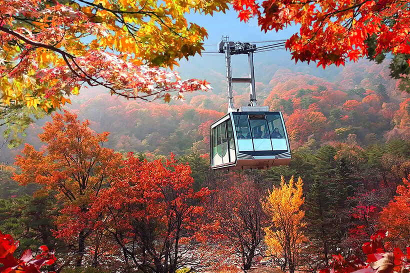 Seoul: Mt.Seorak(+CableCar Option)+Sokcho Fish Market&Beach - Sokcho Tourist Fishery Market: Seventy-Five Minutes to Eat