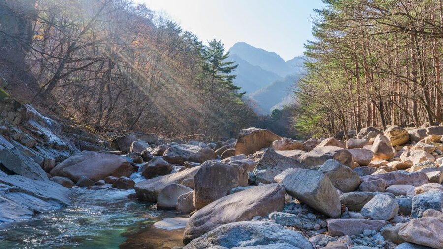 Seoul: Mt Seorak + Naksansa Temple or Nami Island Group Tour - Key things to know before booking