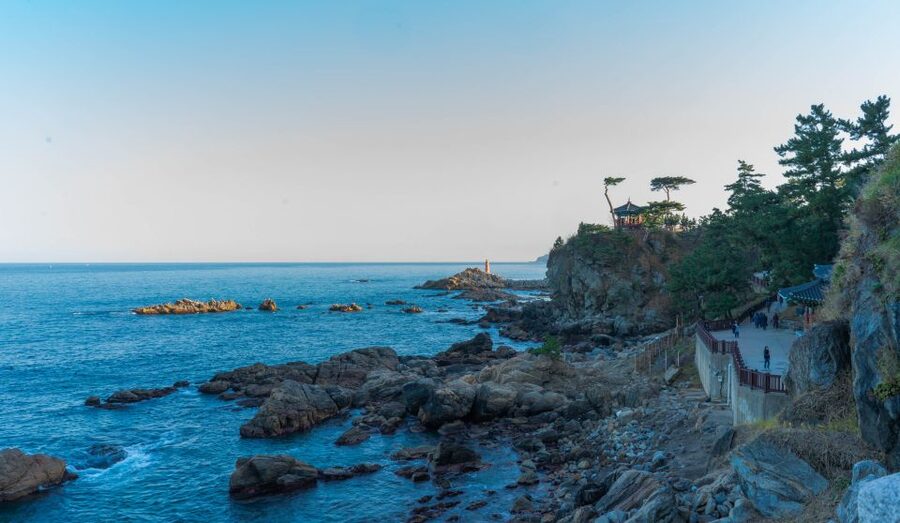 Seoul: Mt Seorak + Naksansa Temple or Nami Island Group Tour - What the guides add to the experience