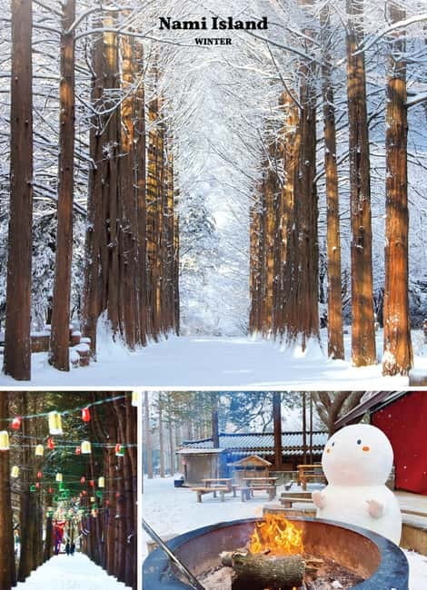 Seoul: Mt. Seorak & Nami Island & Eobi Ice Valley Day Tour - What this day trip is really offering