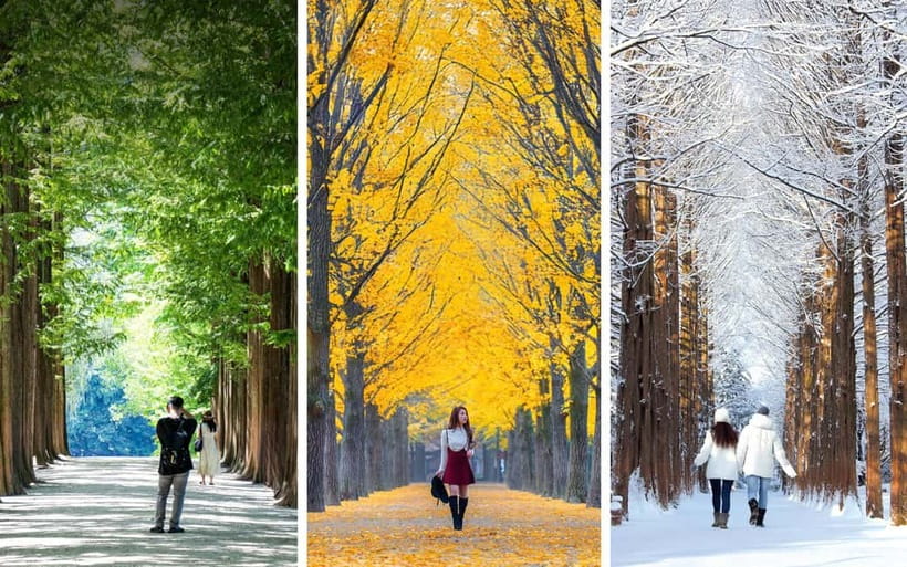 Seoul: Mt. Seorak & Nami Island & Eobi Ice Valley Day Tour - Food, weather, and what to bring