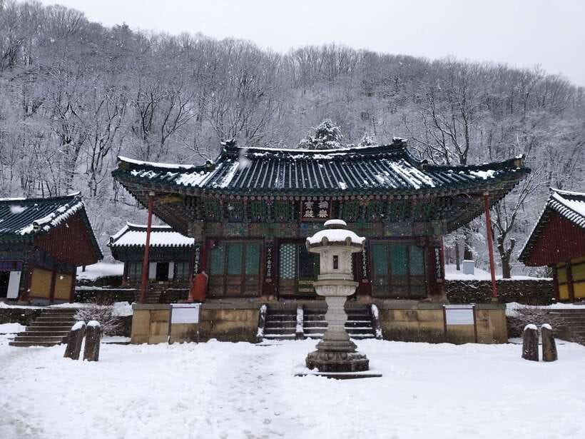 Seoul: Mt.Seorak, Nami Island & Korean Garden, No Shopping - Key points at a glance
