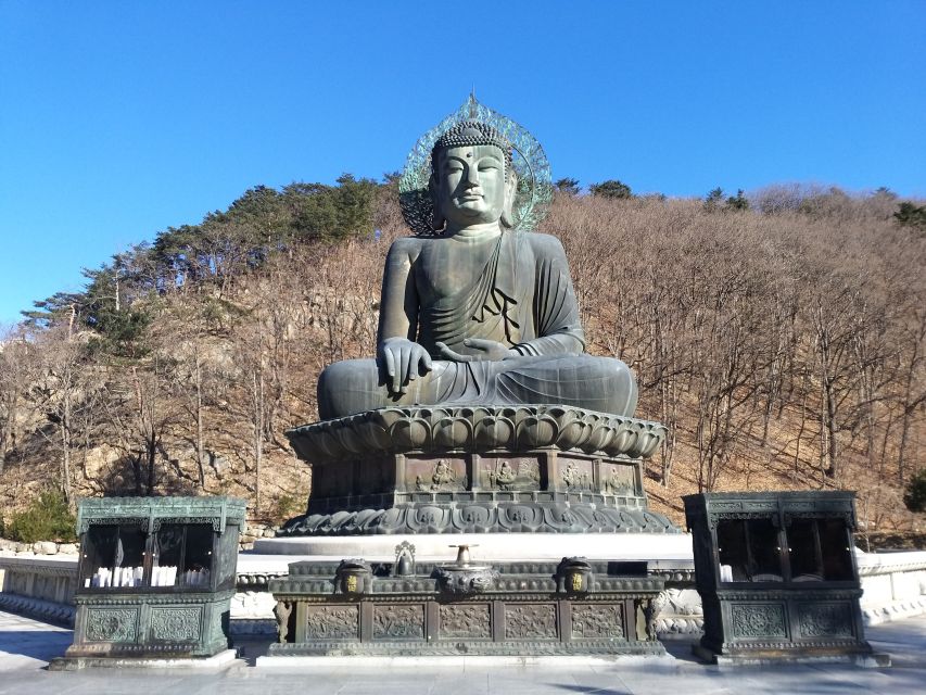 Seoul: Mt.Seorak, Nami Island & Korean Garden, No Shopping - Should you book it?