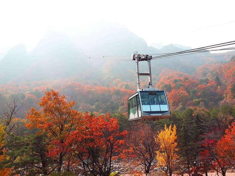 Seoul: Mt.Seorak, Nami Island & Korean Garden, No Shopping - Why this long day works