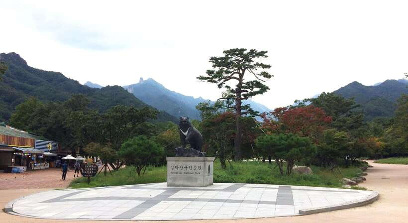Seoul: Mt.Seorak, Nami Island, No Shopping(+RailBike Option) - Why this day trip works from Seoul