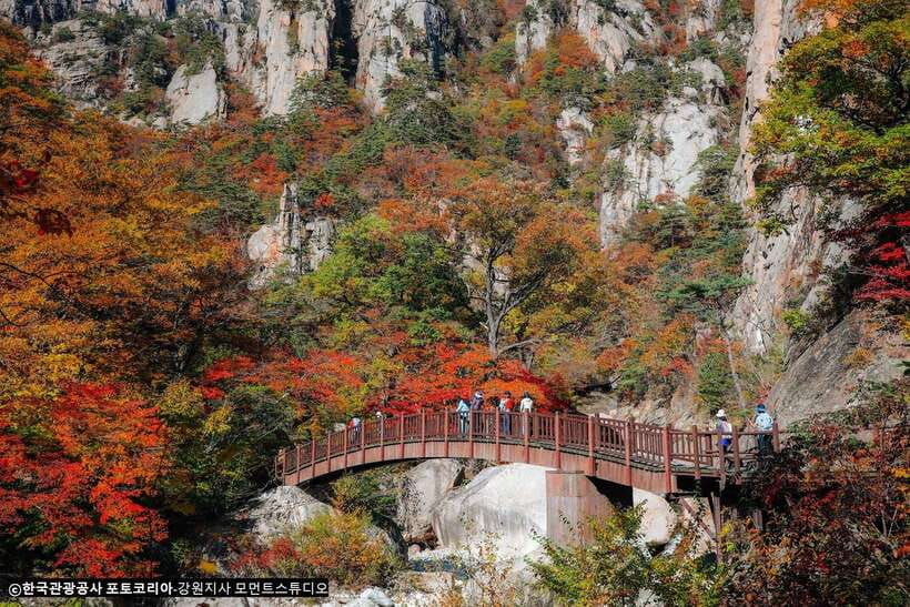 Seoul: Mt.Seorak, Nami Island, No Shopping(+RailBike Option) - Mt. Seorak: rocks, forest, and a giant Buddha