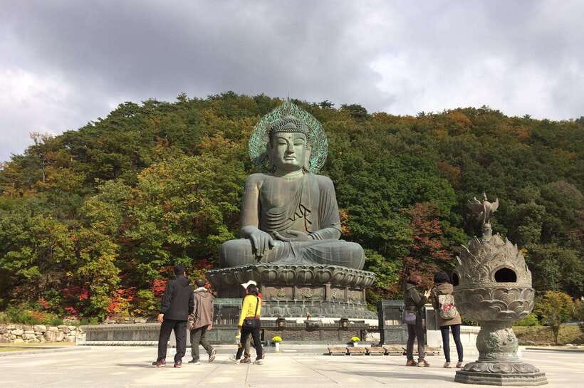 Seoul: Mt.Seorak, Nami Island, No Shopping(+RailBike Option) - Starting the morning at the right meeting point
