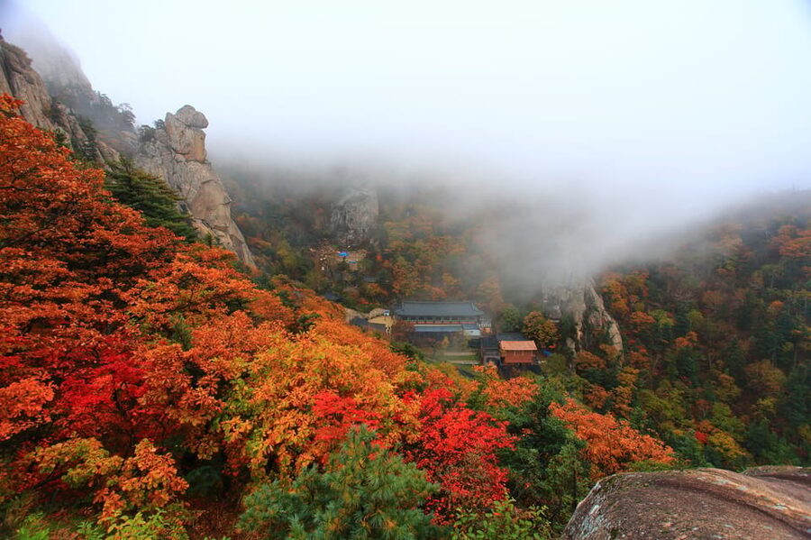 Seoul: Mt. Seoraksan National Park Autumn Foliage Day Tour - Should you book the Seoraksan autumn tour?