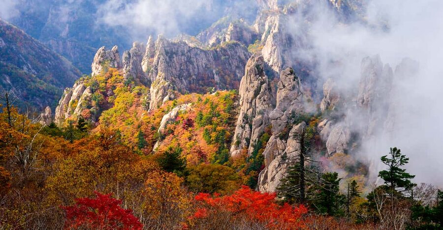 Seoul: Mt. Seoraksan National Park Autumn Foliage Day Tour - Why Seoraksan makes a worthwhile escape from Seoul