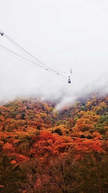 Seoul: Mt. Seoraksan National Park Autumn Foliage Day Tour - Guides, transport, and the free-time format