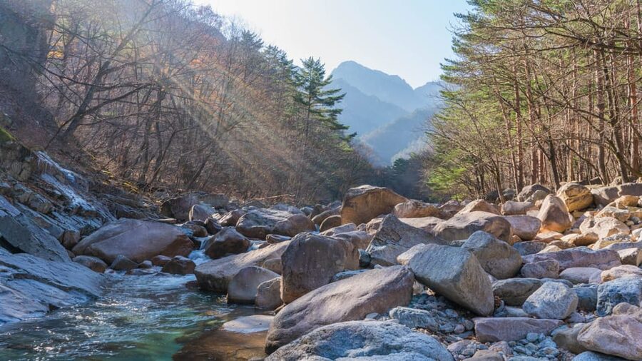 Seoul: Mt. Seoraksan National Park Autumn Foliage Day Tour - Who will enjoy this day trip most