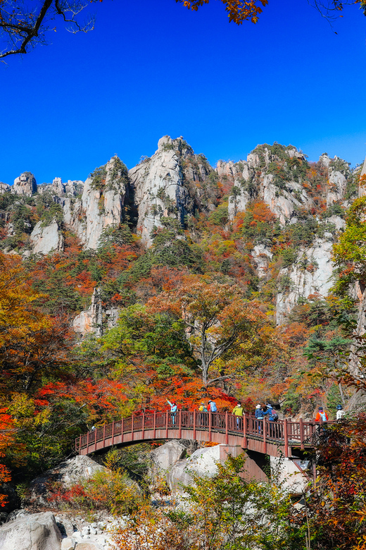 Seoul: Mt. Seoraksan National Park Autumn Foliage Day Tour - The early bus ride from Seoul