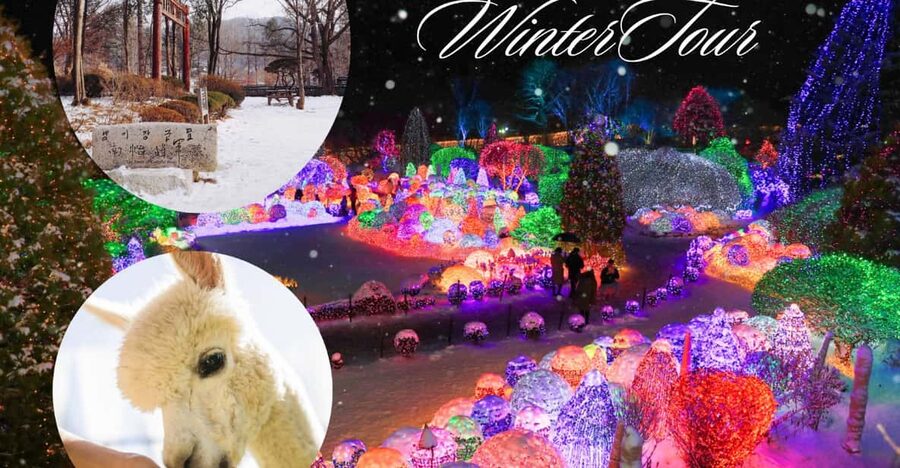 Seoul: Nami and K-Garden with Optional Alpaca Winter Tour - Why this day trip works from Seoul