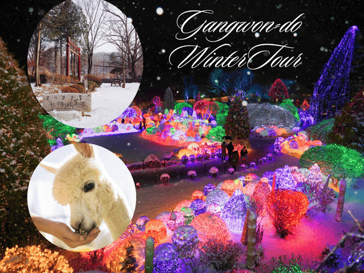 Seoul: Nami and K-Garden with Optional Alpaca Winter Tour - Petite France and Italian Village: colorful, theatrical stops