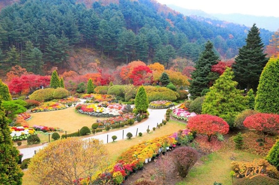 Seoul: Nami and Petite France Tour with Optional K-Garden - Why this day trip works from Seoul