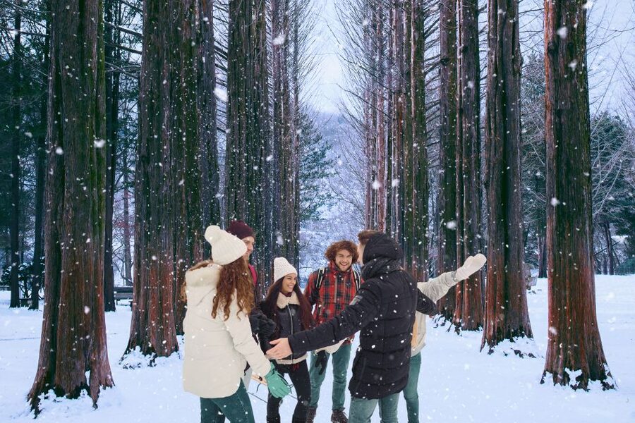 Seoul: Nami and Petite France Tour with Optional K-Garden - Pinocchio and Da Vinci Italian Village
