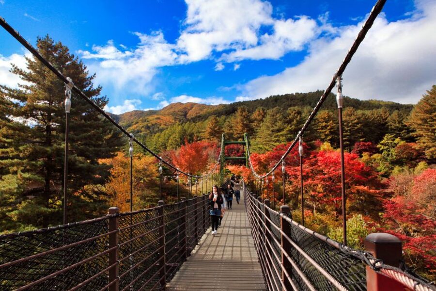 Seoul: Nami and Petite France Tour with Optional K-Garden - The Garden of Morning Calm option