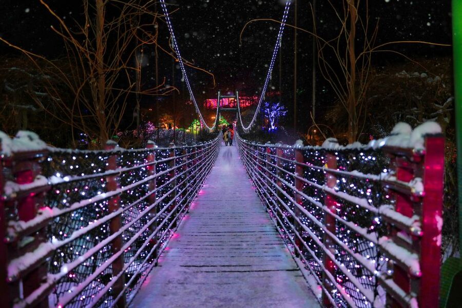 Seoul: Nami and Petite France Tour with Optional K-Garden - A realistic ten-hour schedule