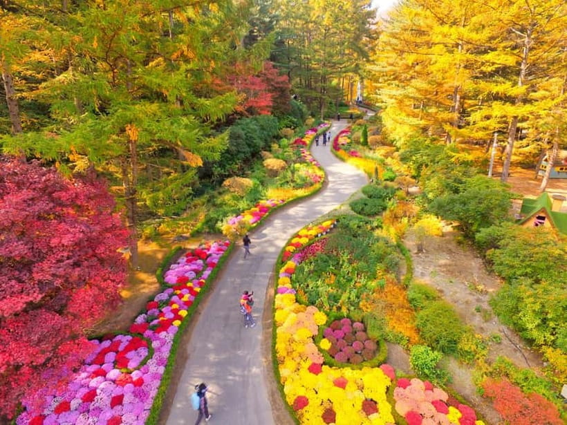 Seoul: Nami Island and Garden of Morning Calm opt Railbike - My verdict: book it for variety, not solitude