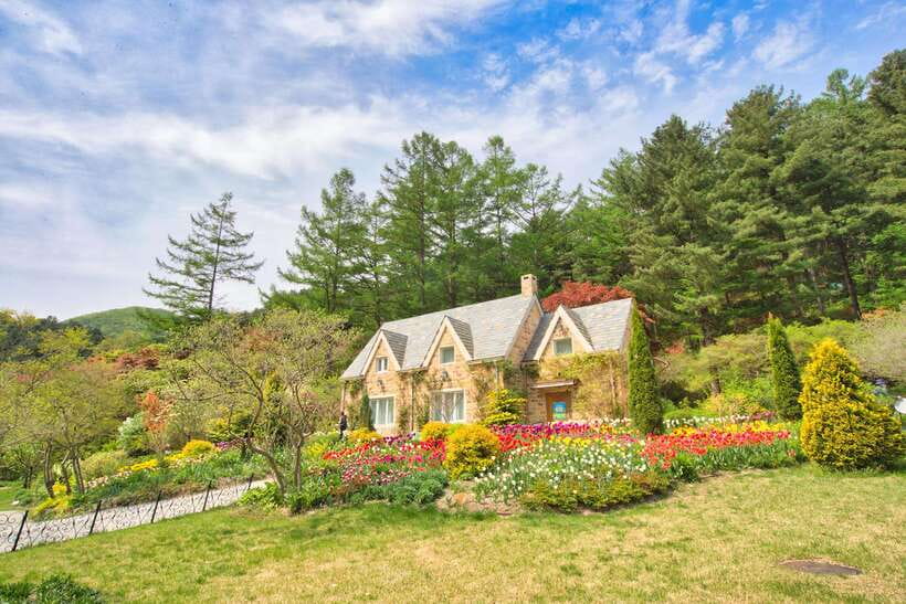 Seoul: Nami Island and Garden of Morning Calm opt Railbike - Why this Seoul day trip works