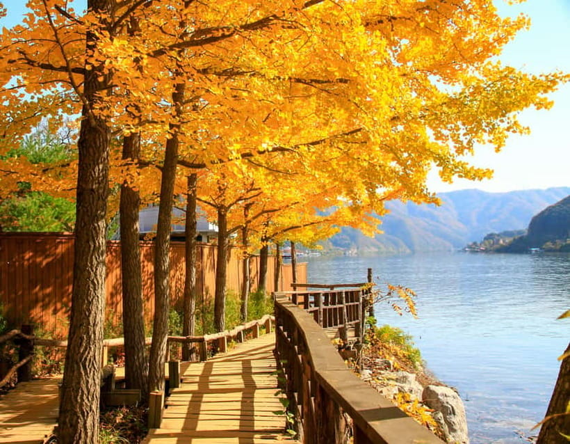Seoul: Nami Island and Garden of Morning Calm opt Railbike - How the timing feels over 10 to 12 hours