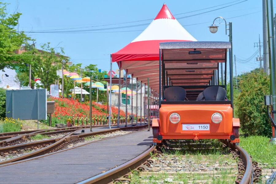 Seoul: Nami Island and Garden of Morning Calm opt Railbike - Who gets the best value from the $51 price