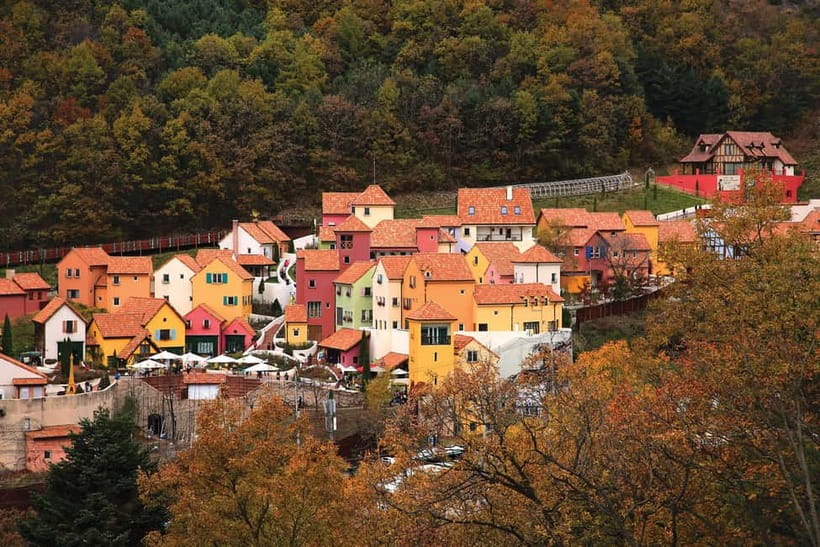 Seoul: Nami Island, Garden and Petite France (opt. Railbike) - Why this day trip works from Seoul
