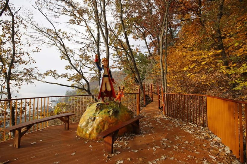 Seoul: Nami Island, Garden and Petite France (opt. Railbike) - Who should book this Gapyeong tour?