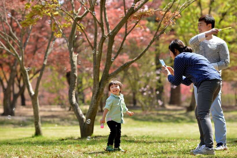 Seoul: Nami Island & Petite France Tour with Railbike Option - Why this makes sense as a Seoul day trip