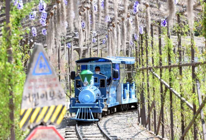 Seoul: Nami Island & Petite France Tour with Railbike Option - Guides are a major part of the value